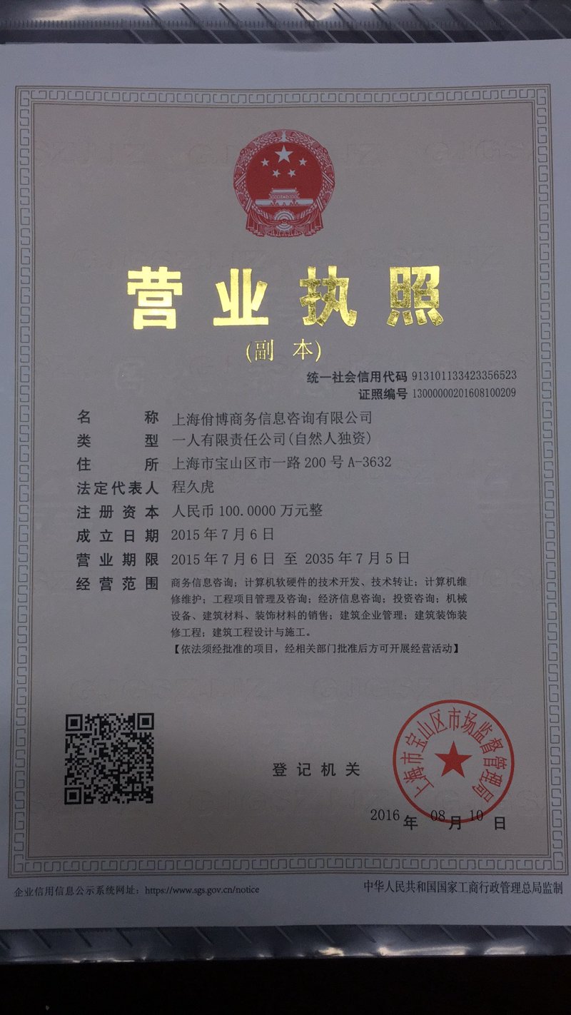 信息咨询业的上海风光
